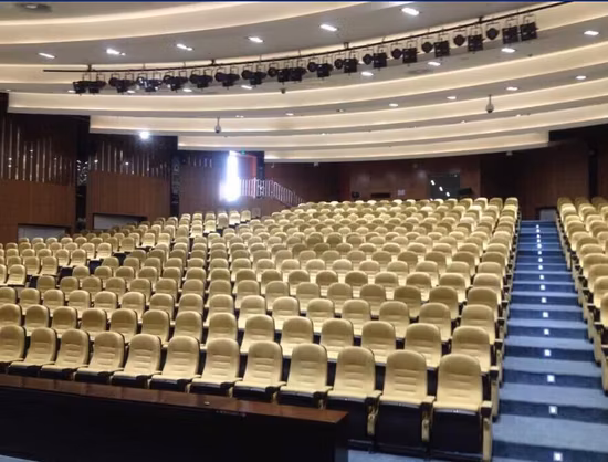 Media Room Push Back Home Theater Economic Cinema Movie Theater Auditorium Chair