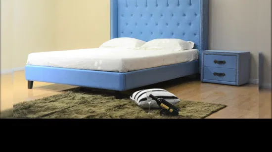 Huayang Manufacturer Mattress Bed Modern Bedroom Bed Sofa Bed King Size Bed OEM Customized